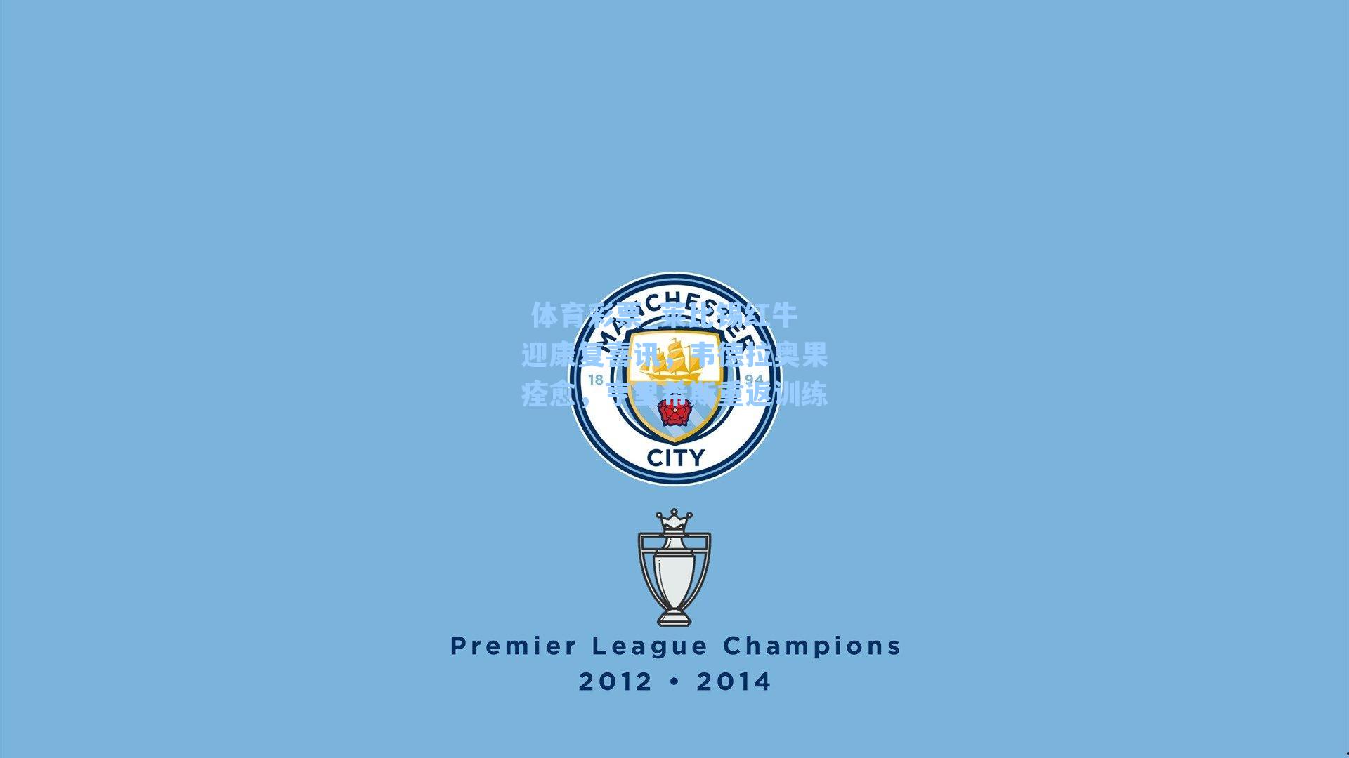 莱比锡红牛迎康复喜讯，韦德拉奥果痊愈，亨里希斯重返训练