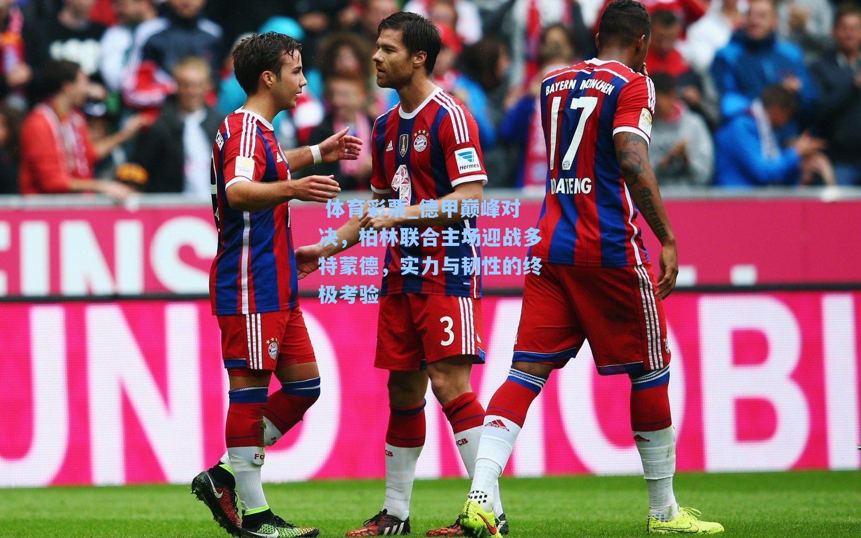 德甲巅峰对决，柏林联合主场迎战多特蒙德，实力与韧性的终极考验