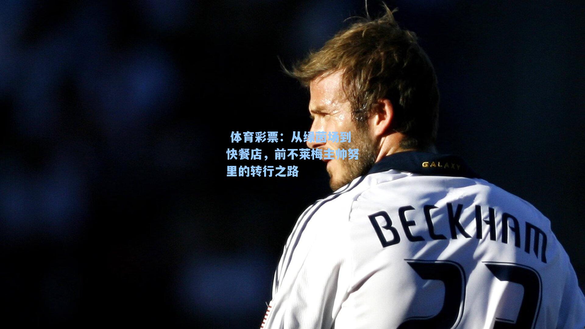 从绿茵场到快餐店，前不莱梅主帅努里的转行之路